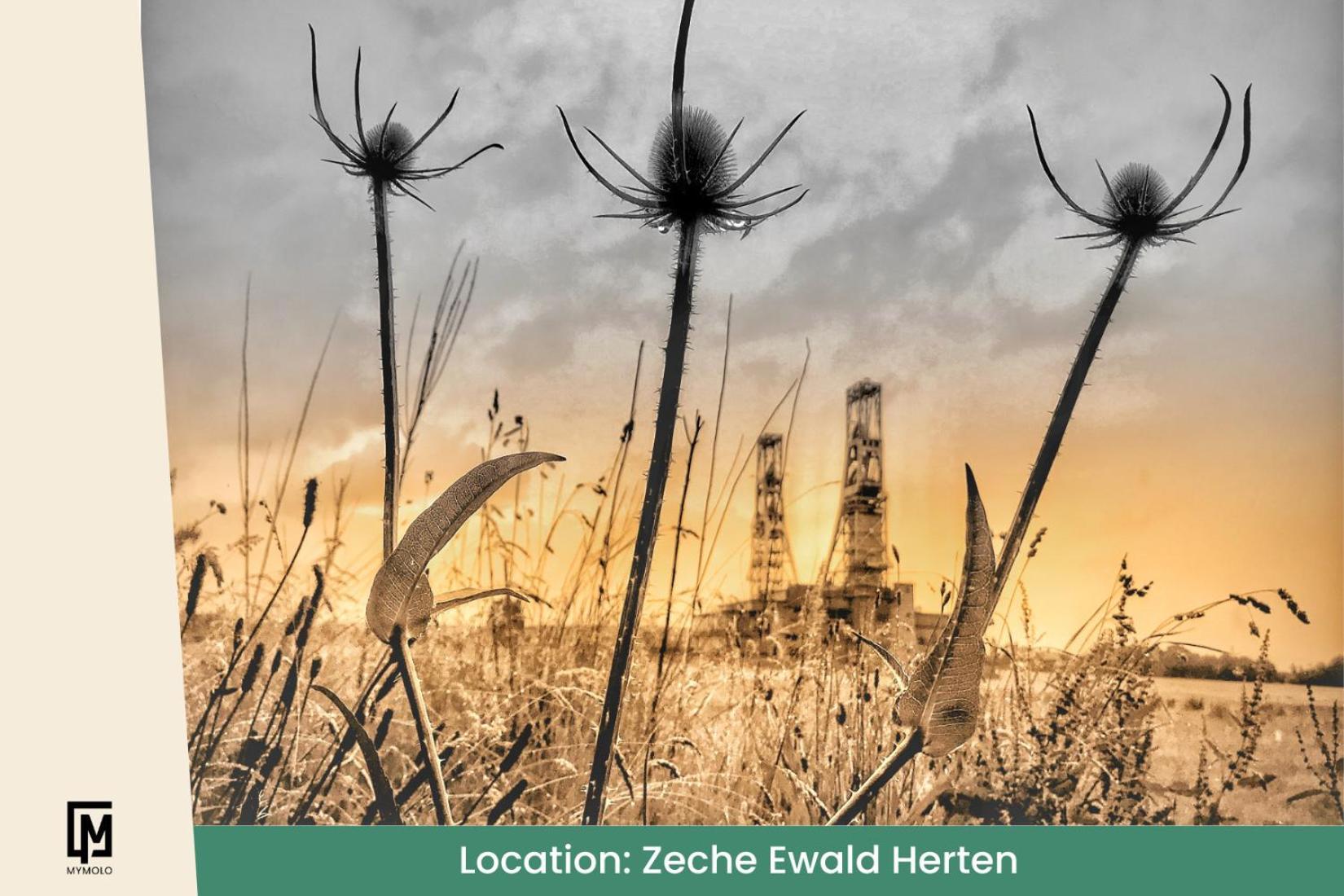 Glamping In Der Zeche Ewald Herten Herten  Exterior photo